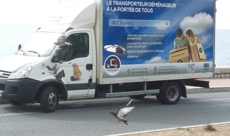 Déménagement de locaux professionnels par déménageurs à Nice et dans les Alpes-Maritimes